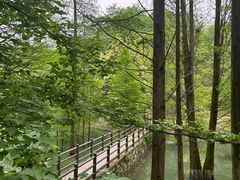 -天花井景区