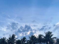 -海南热带雨林国家公园吊罗山景区