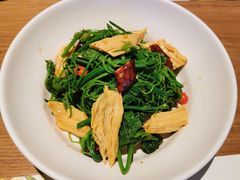 腐竹丝瓜尖-青梅酒肆PLUS(长白仙岛北路店)