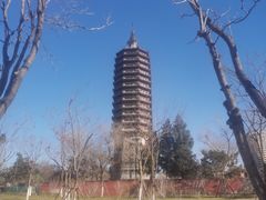 -西海子公园
