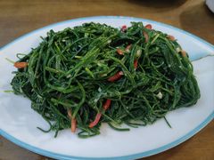 -靖远尕六美味羊羔肉