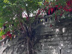 -重庆十八梯传统风貌区