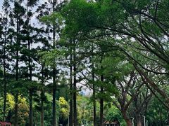 -人民公园(罗湖区)