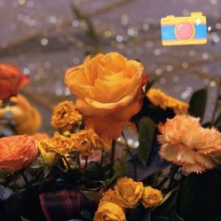 -芳香乐府疗愈空间·SPA·冥想