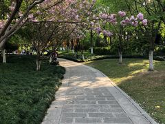 -杭州城北体育公园