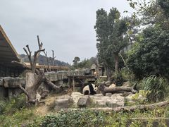 -宁波野生动物园