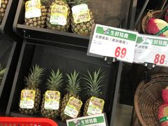 -七星潭蓝天广场