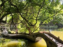 -绮园景区