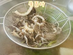 -壮雄牛屠牛肉店(两英店)