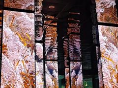 -中国湿地博物馆