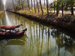 -合肥滨湖国家森林公园