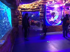 -芜湖新华联大白鲸海洋公园