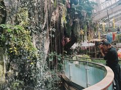 -正佳雨林生态植物园