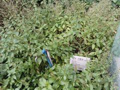 -广州神农草堂中医药博物馆