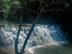 -祁门牯牛降观音堂风景区