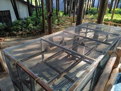 -蝴蝶泉公园