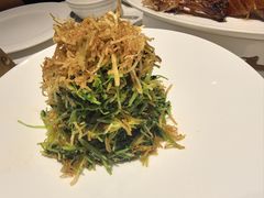 巧拌豆苗-四季民福烤鸭店(王府井灯市口店)