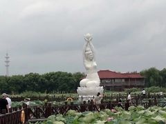 景点-荷塘月色湿地公园·向阳花洲