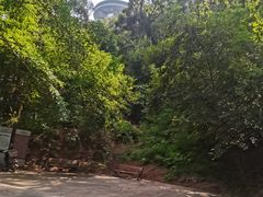 -神光山国家森林公园