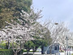 -星湖街(地铁站)