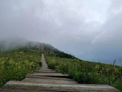 -白草畔自然风景区