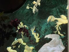 -西安曲江海洋极地公园