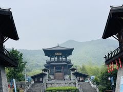 -大唐贡茶院