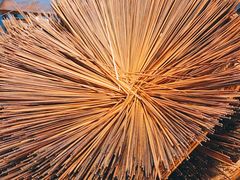 -镇江龙·火锅串串(武侯祠店)