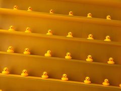 -RU DUCK柯尔鸭公社·撸鸭俱乐部·羊驼·小香猪