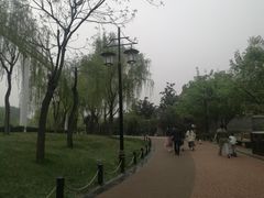 -唐城墙遗址公园