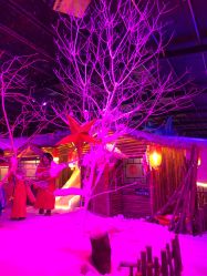 -圣名游乐城冰雪大世界