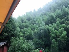 -将军关探险漂流