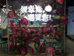 -一笼小幸运