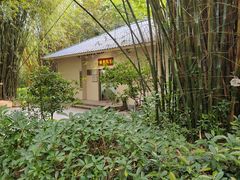 -晓港公园