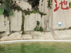 -天山海世界·米立方