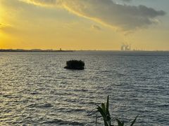 -贡湖湾湿地公园