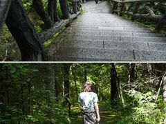 -汤旺河林海奇石景区