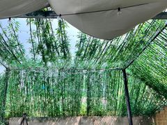 -DGE季风钓虾营地·团建·聚会