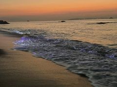 -白城沙滩