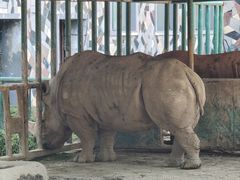 -哈尔滨北方森林动物园