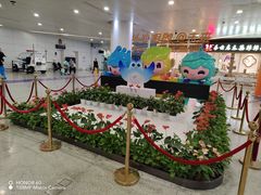 -杭州萧山国际机场