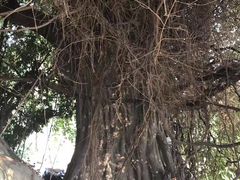 -上海月湖雕塑公园