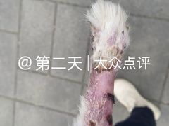 -康旭宠物医院(郑州总院)