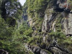 -石台牯牛降景区