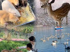 -水上乐园·欢乐世界