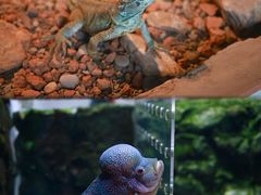 -石林冰雪海洋世界