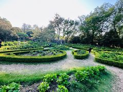 -上海共青森林公园