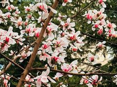 -木塔寺遗址生态公园