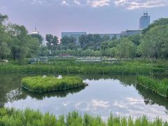 -长春市南湖公园