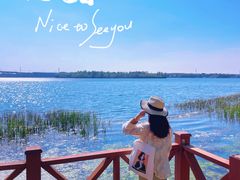 -丁香湖公园